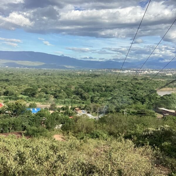 Lote en Venta en la Carretera Panamericana