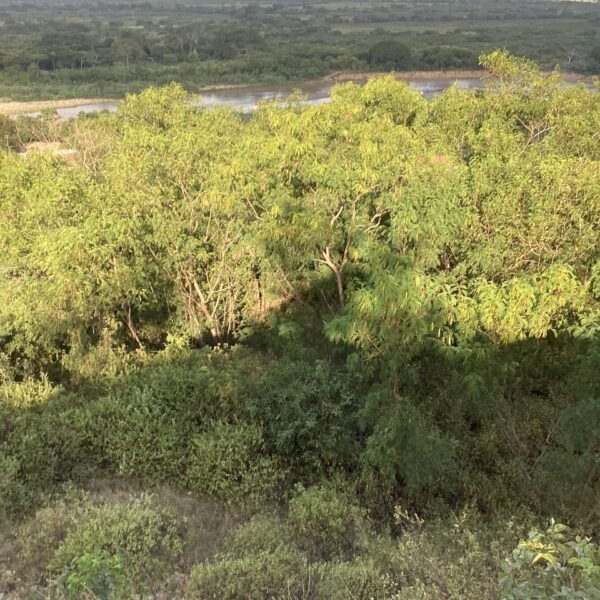 Lote en Venta en la Carretera Panamericana