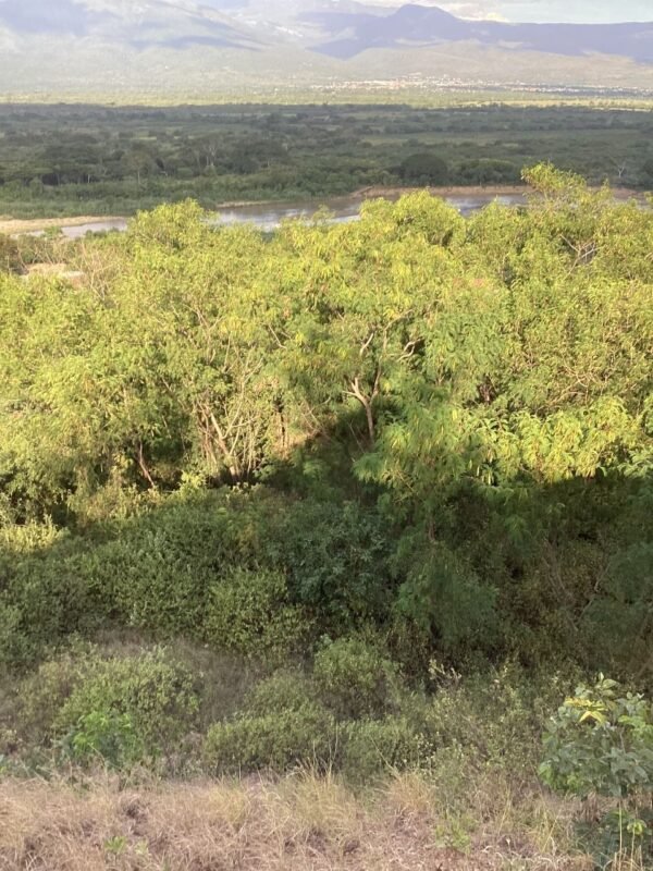 Lote en Venta en la Carretera Panamericana
