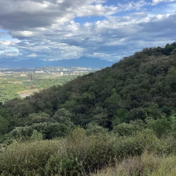 Lote en Venta en la Carretera Panamericana
