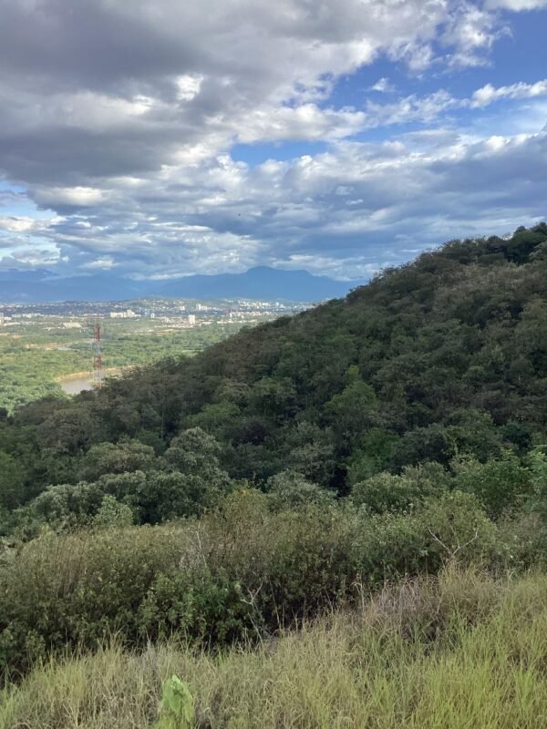 Lote en Venta en la Carretera Panamericana