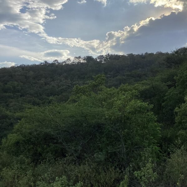 Lote en Venta en la Carretera Panamericana