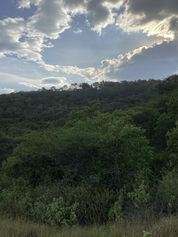 Lote en Venta en la Carretera Panamericana