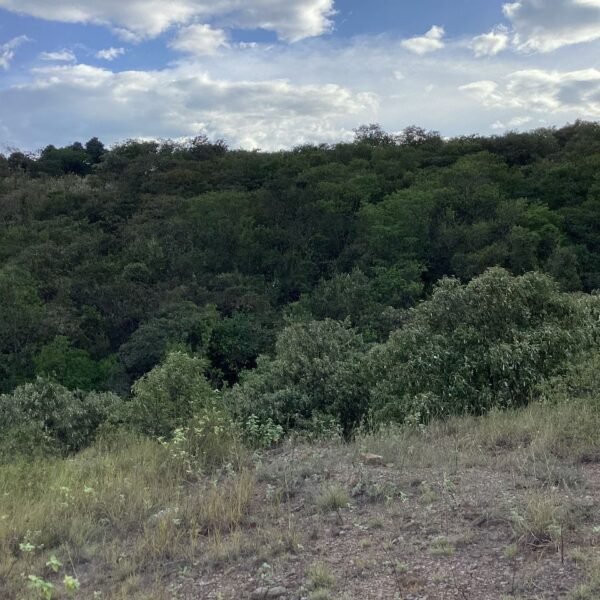 Lote en Venta en la Carretera Panamericana
