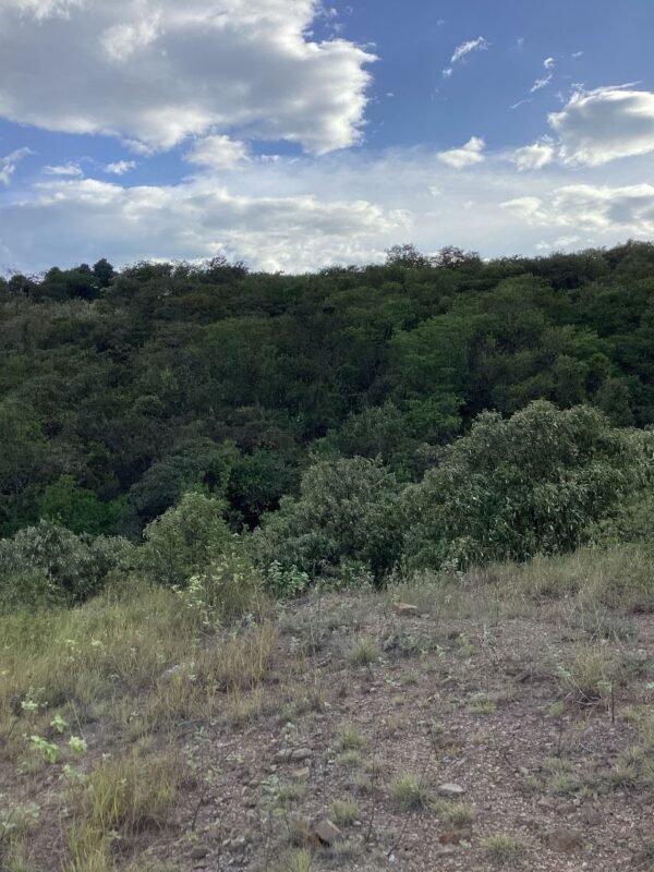 Lote en Venta en la Carretera Panamericana