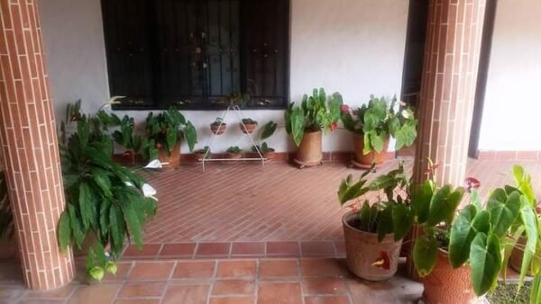 Vendo Cabaña Amoblada en Chinacota