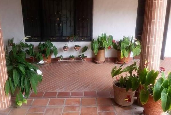 Vendo Cabaña Amoblada en Chinacota