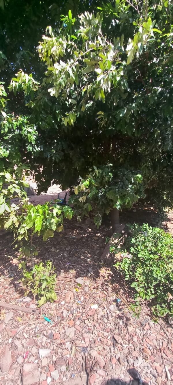 Vendo Casa Lote en Puente Barco, Cucuta